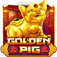 pp image